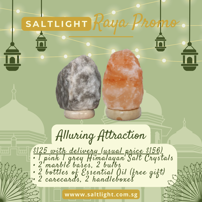 SALTLIGHT® HARI RAYA SPECIAL PROMO | 1 Grey 1 Pink Himalayan Salt Lamps