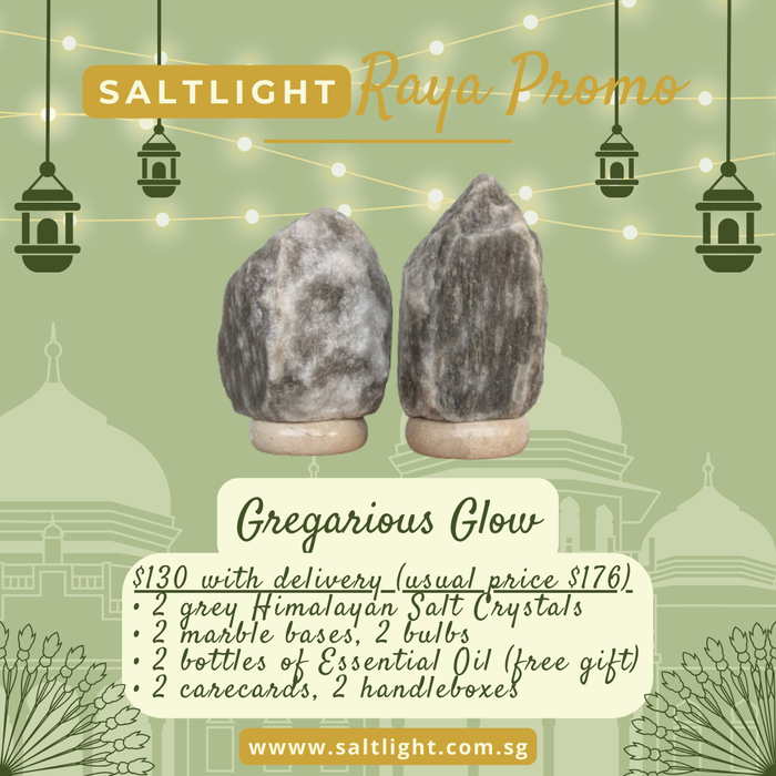 SALTLIGHT® HARI RAYA SPECIAL PROMO | 2 Grey Himalayan Salt Lamps