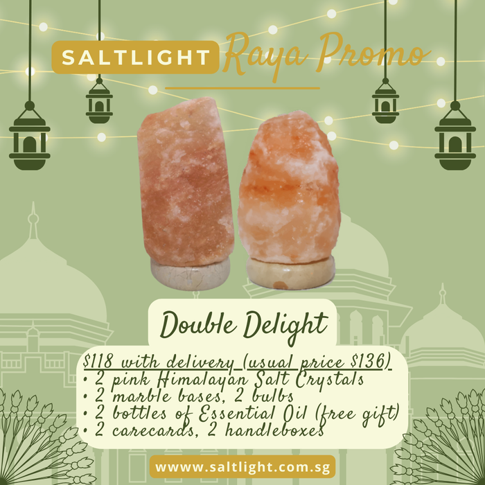 SALTLIGHT® HARI RAYA SPECIAL PROMO | 2 Pink Himalayan Salt Lamps
