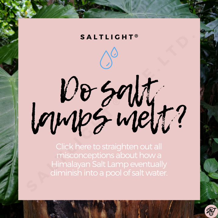 DO SALT LAMPS MELT?