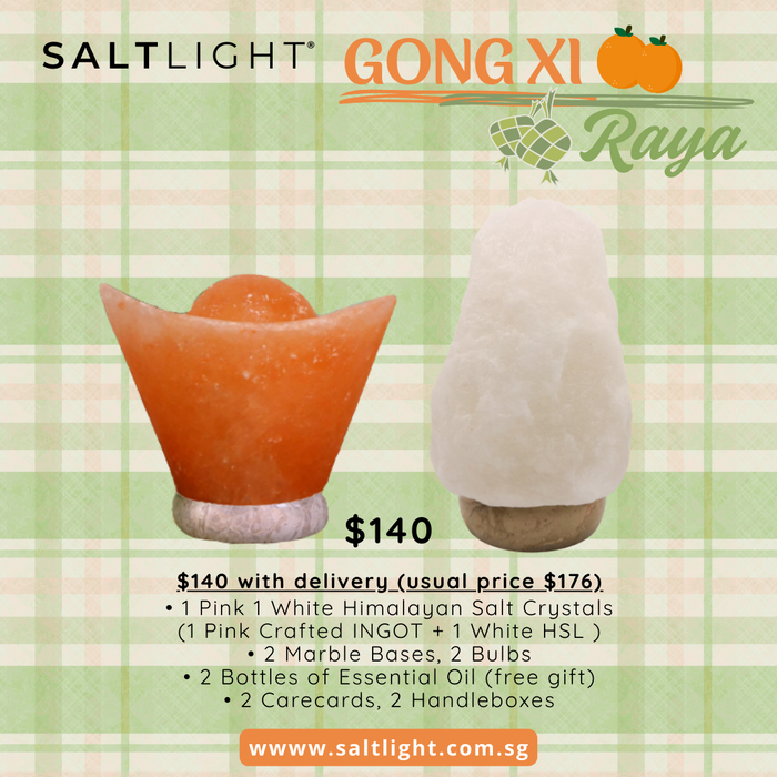SALTLIGHT® GONGXI RAYA BUNDLE PROMO | 1 Pink (INGOT) 1 White Himalayan Salt Lamps
