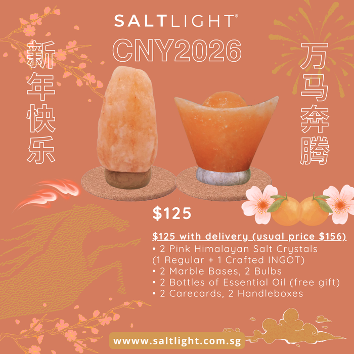 SALTLIGHT® CNY 2026 BUNDLE PROMO - 2 PINK HIMALAYAN SALT LAMPS (1 REGULAR + 1 INGOT)