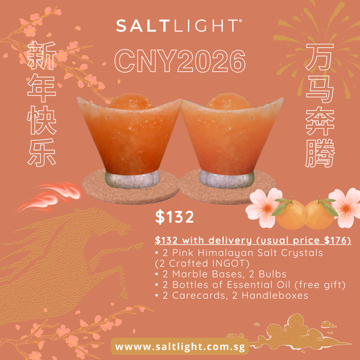 SALTLIGHT® CNY 2026 BUNDLE PROMO - 2 PINK HIMALAYAN SALT LAMPS (2 INGOT)