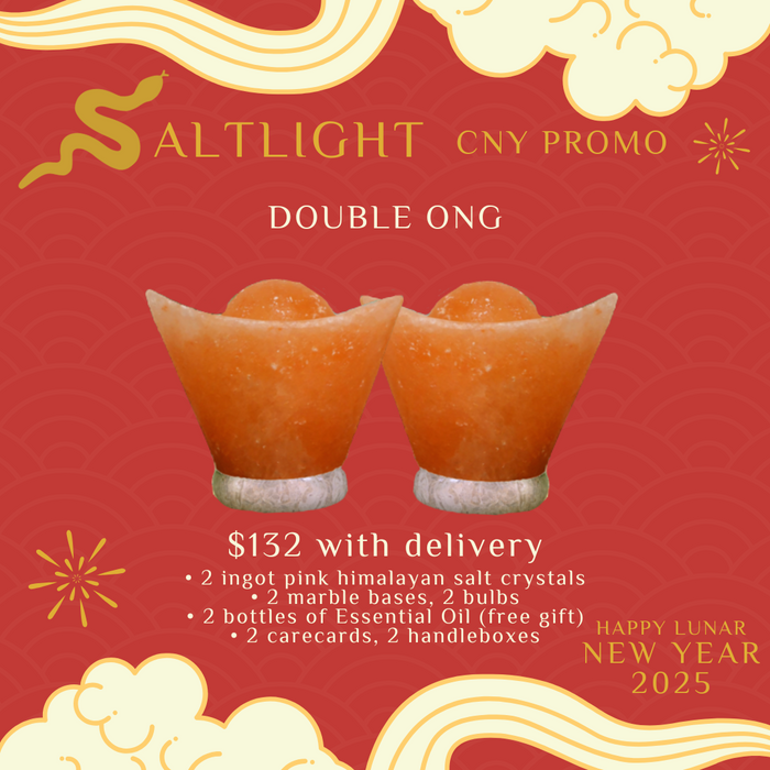 CNY BUNDLE PROMO (DOUBLE ONG) - 2 PINK HIMALAYAN SALT LAMPS (INGOT)