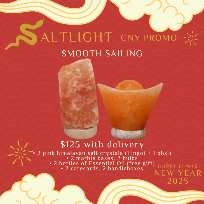 CNY BUNDLE PROMO (SMOOTH SAILING) - 1 PINK INGOT + 1 PINK HIMALAYAN SALT LAMP